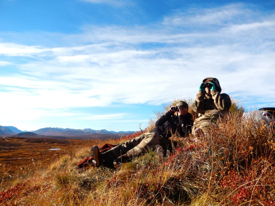 Two hunters scoping the land with binoculars