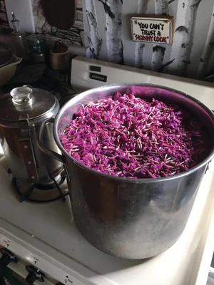 Purple cabbage being cooked in a large pot